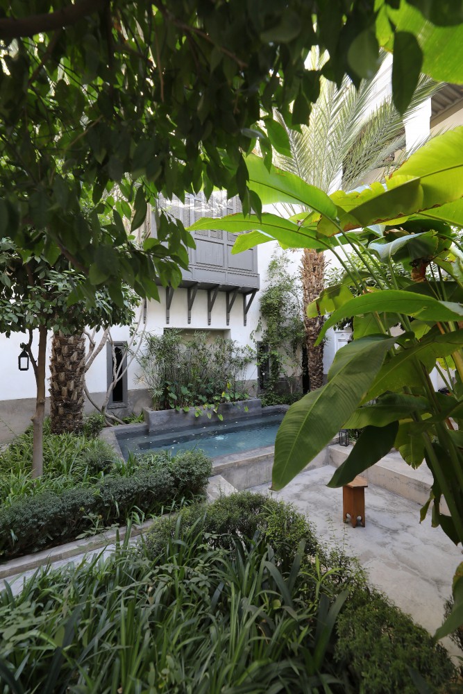The garden patio of Riad Zaouia 44, pool and moucharabieh among the palm trees