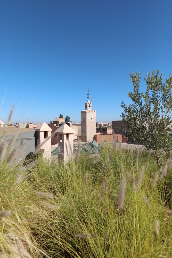 The neighbouring minaret in the terrace grasses, the Medina beyond