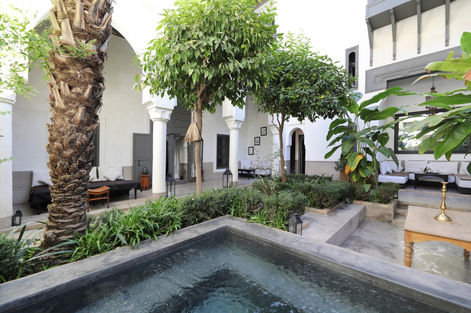 The pool beneath the patio's orange trees