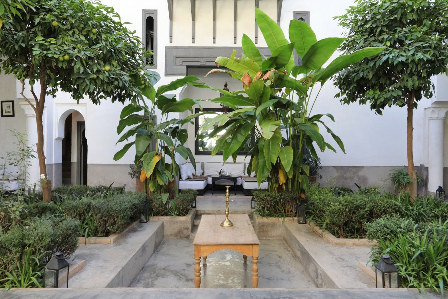 The garden patio and its low table in front of the lounges, shaded by orange trees and banana plants